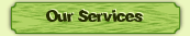Our Services